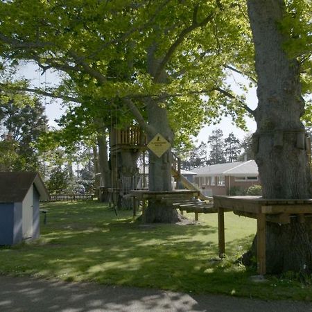 Te Aroha Holiday Park And Motels Екстериор снимка