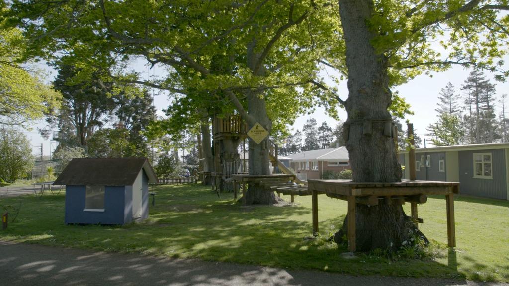 Te Aroha Holiday Park And Motels Екстериор снимка