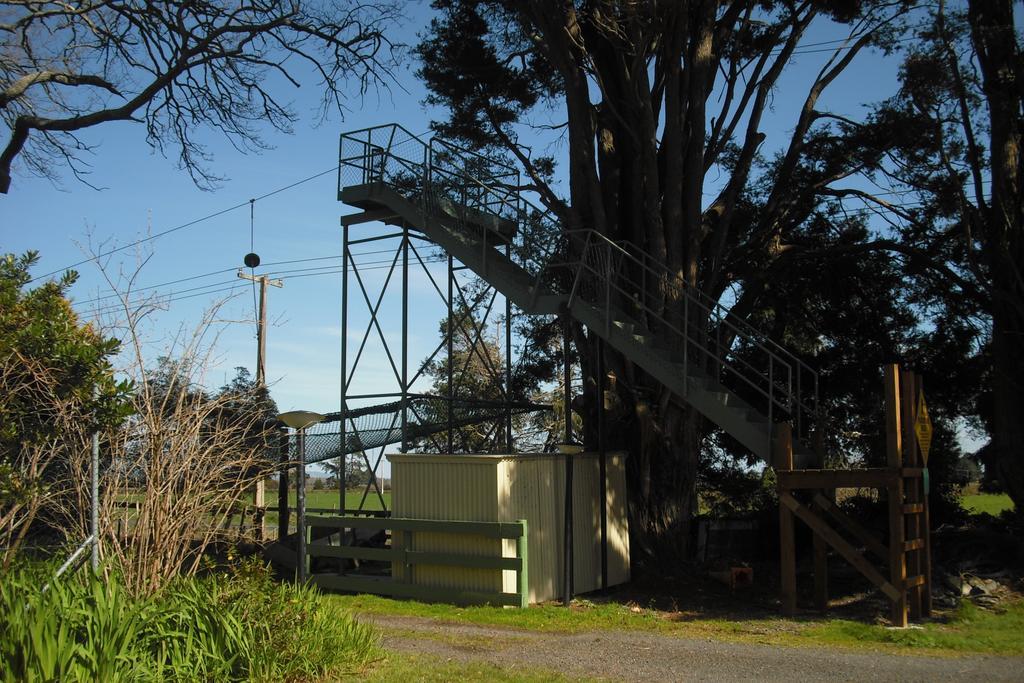 Te Aroha Holiday Park And Motels Екстериор снимка